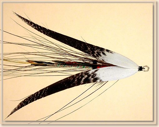 Top View Fireball