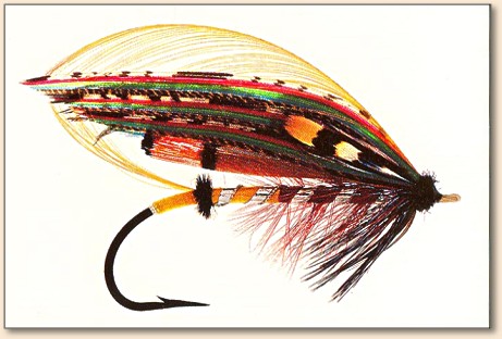 Compulsory Fly