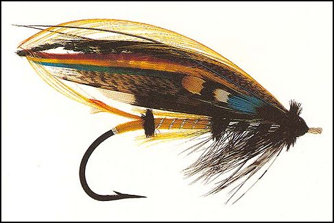 Compulsory Fly
