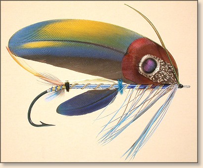 Voyager