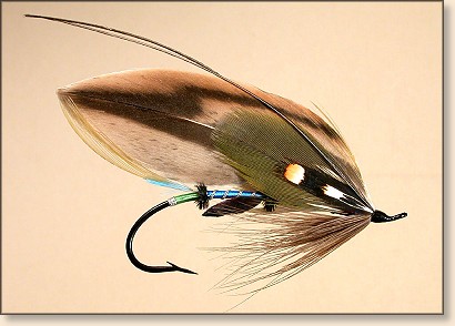 Mallard Hen Butt