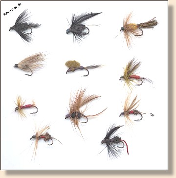 My First Flies