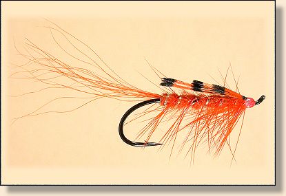 Original River Shrimp