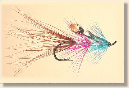 Silver Wilkinson Shrimp