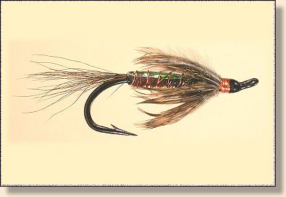 Ugly Fly