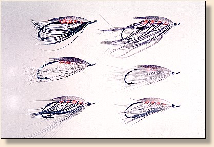 Different Hackle, same pattern