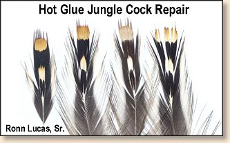 Repairing Jungle Cock nails