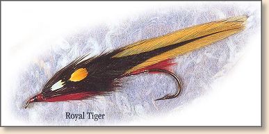 Royal Tiger
tied by Carrie Stevens