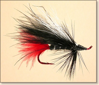 Marabou Skunk