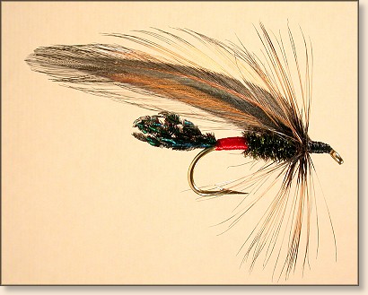 Dark Spruce