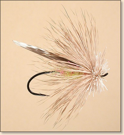 Steelhead Caddis