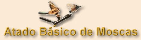 Recepci�n a atar de la mosca que comienza