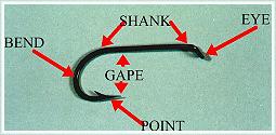 Hook Anatomy