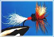Dry Fly