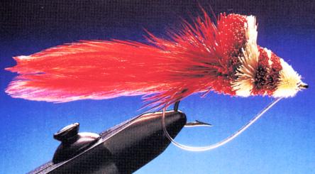 Dahlberg Diver