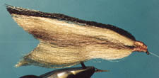 Tail