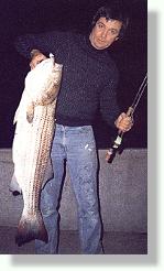 Ken with striper in Newport, Rhode Island