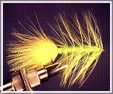 Bass Woolly Bugger