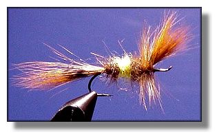 Steelhead Bee
