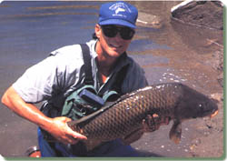 Nice Carp