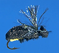 Steeve's Firefly