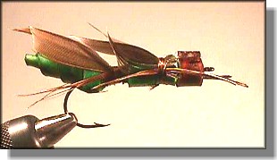 Prairie Hopper