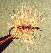 Fish Finder