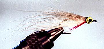 Head with Eyes