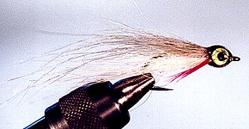 Finished Fly