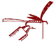Step 6