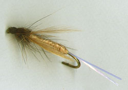 Stillwater Midge