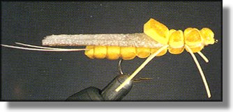 Morrisfoam Golden Stone