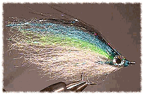 Polar Bear Baitfish