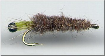   The Peeking Caddis