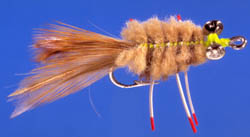 Merkin (Permit Crab)