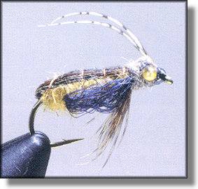 Cinnamon Caddis Pupa
