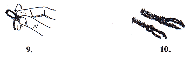 Steps(9) and (10)