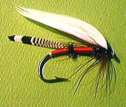 Royal Coachman