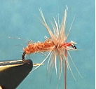 Sowbug
