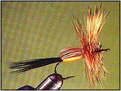 The Humpy Fly