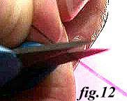 Fig. 12