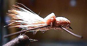 Finished Fly