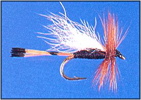 Rio Grande King Trude
