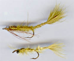 Flicted Damselfly Nymph