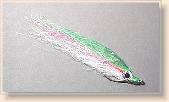 Rainbow Trout