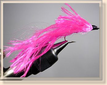 Glow Leech