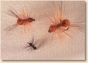 Various colors and sizes