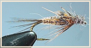 Black Dog Nymph
