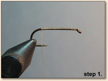 step 1