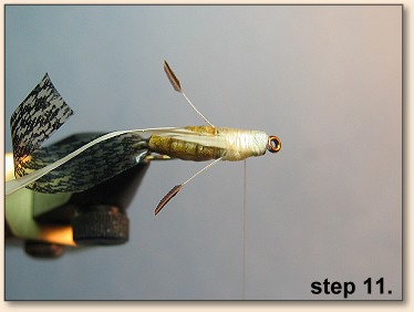 Step 11